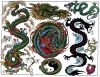 dragon colored tats design